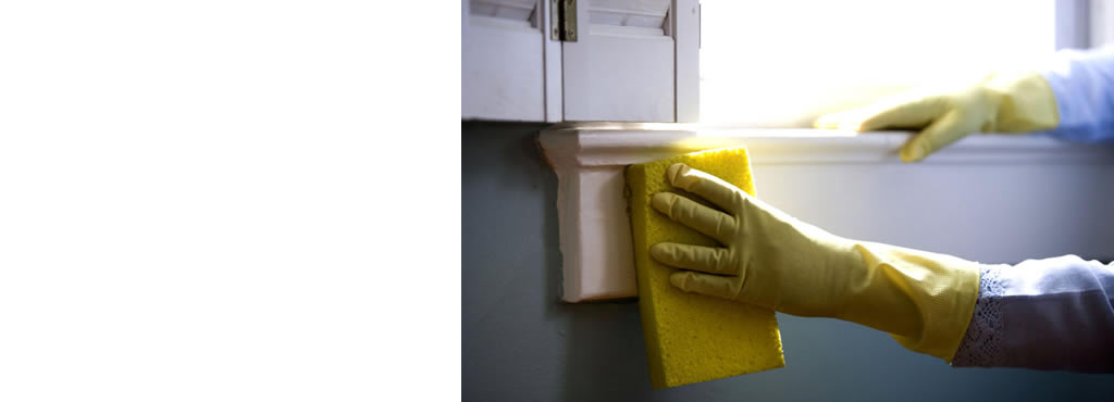 Professional services